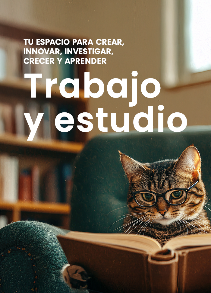 Tu espacio de trabajo y estudio 1 TU ESPACIO responsive